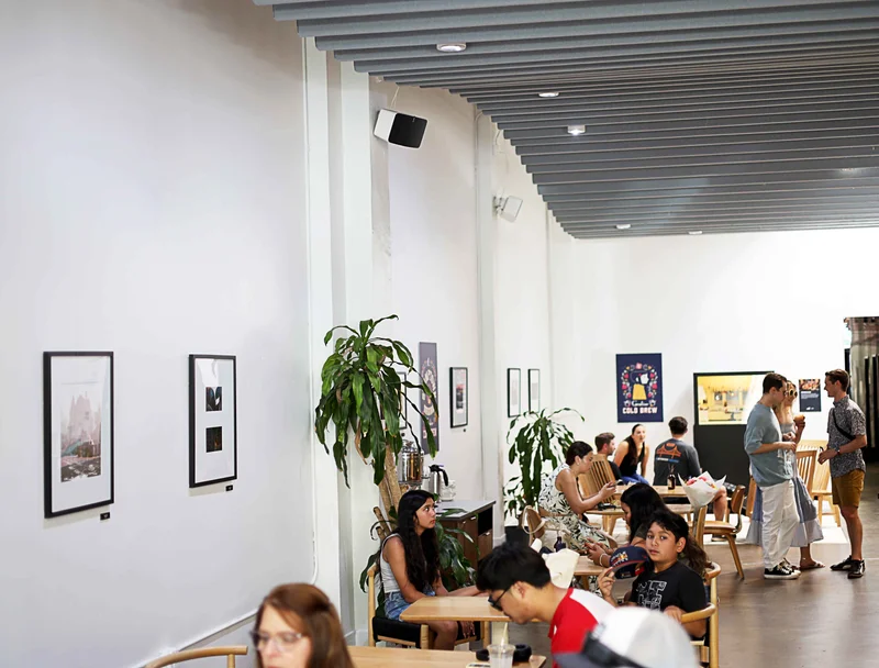 Image: Stumptown cafe SW 3rd PDX, Coraline installation.