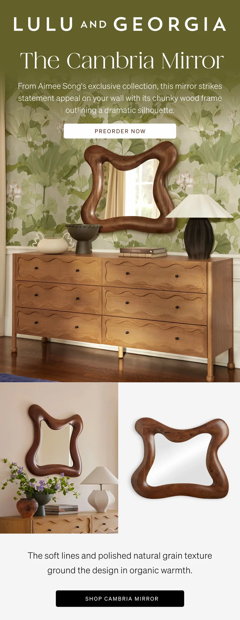 Shop Cambria Mirror