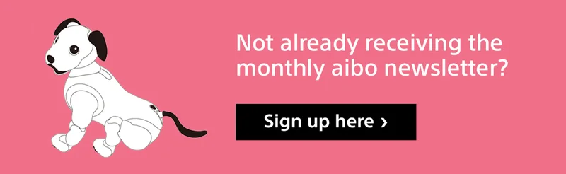 Not already receiving the monthly aibo newsletter? | Sign up here