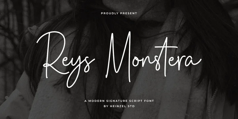 Reys Monstera