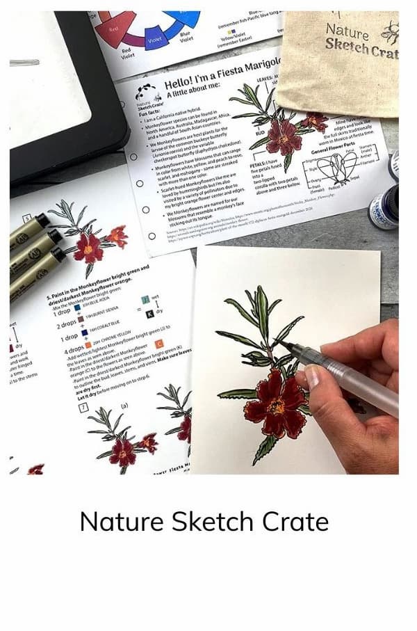 Nature Sketch Crate