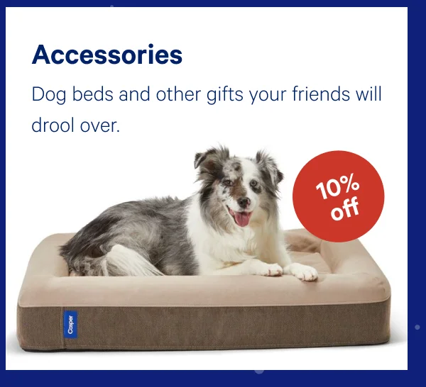 [10% OFF] >> Accessories >>