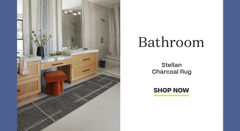 Shop Bathroom