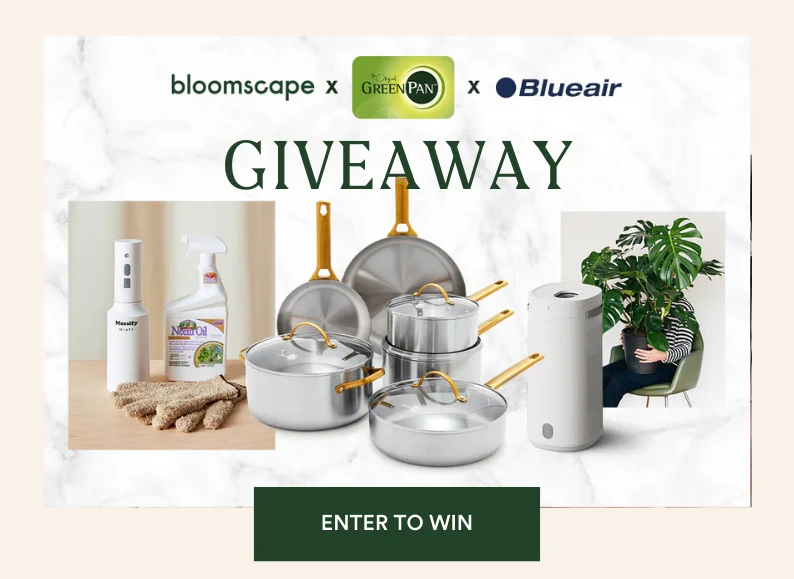 Enter to win the spring refresh giveaway