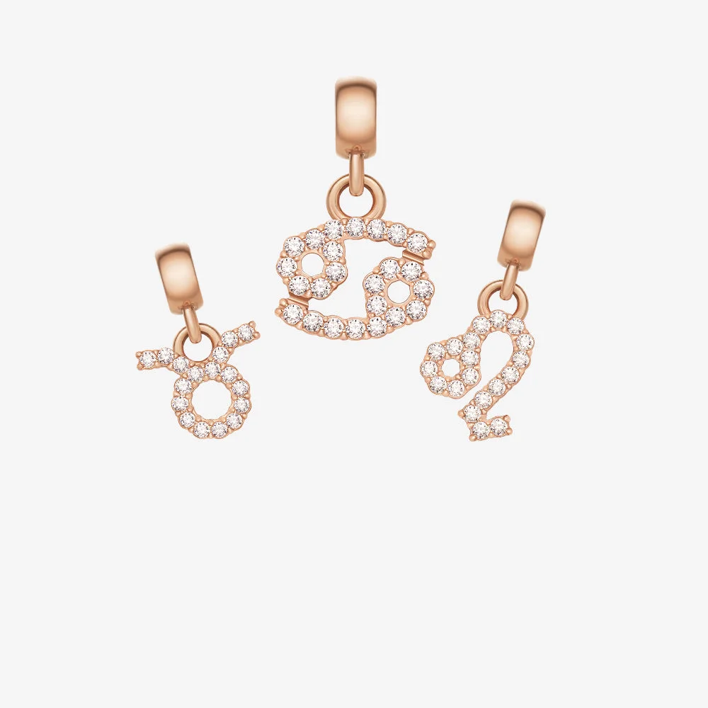 Zodiac Charms