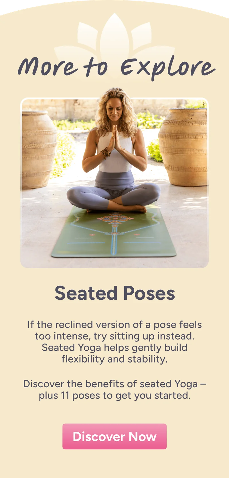 Dive Deeper – The Vinyasa Sequence