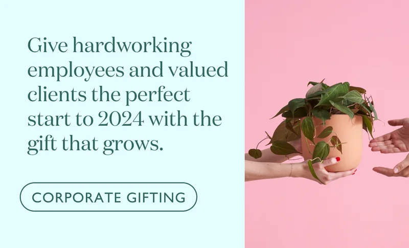 Give hardworking employees and valued clients the perfect start to 2024 with the gift that grows.