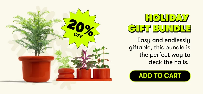 Holiday Gift Bundle Easy and endlessly giftable, this bundle is the perfect way to deck the halls.  [ADD TO CART]