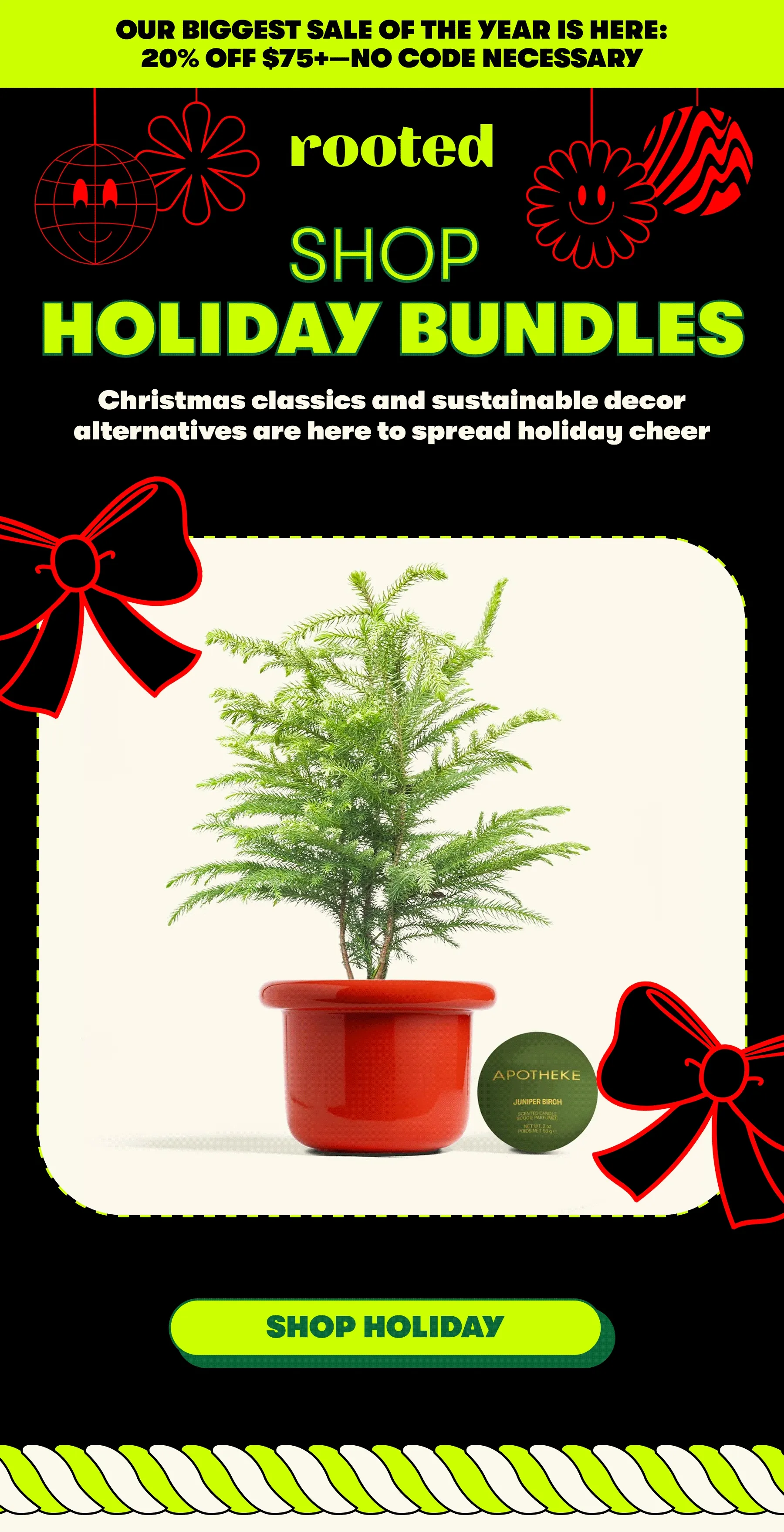 SHOP HOLIDAY BUNDLES Christmas classics and sustainable decor alternatives are here to spread holiday cheer [SHOP HOLIDAY]
