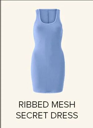 RUBBED MESH SECRET DRESS