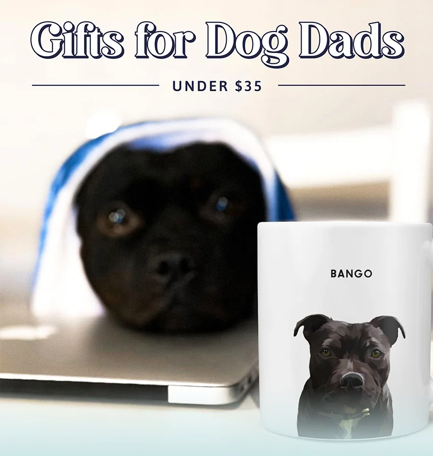 Gifts for Dog Dads Under $35