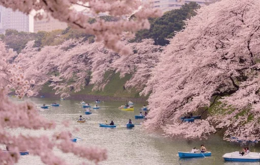 Save 25% or more on spring vacations