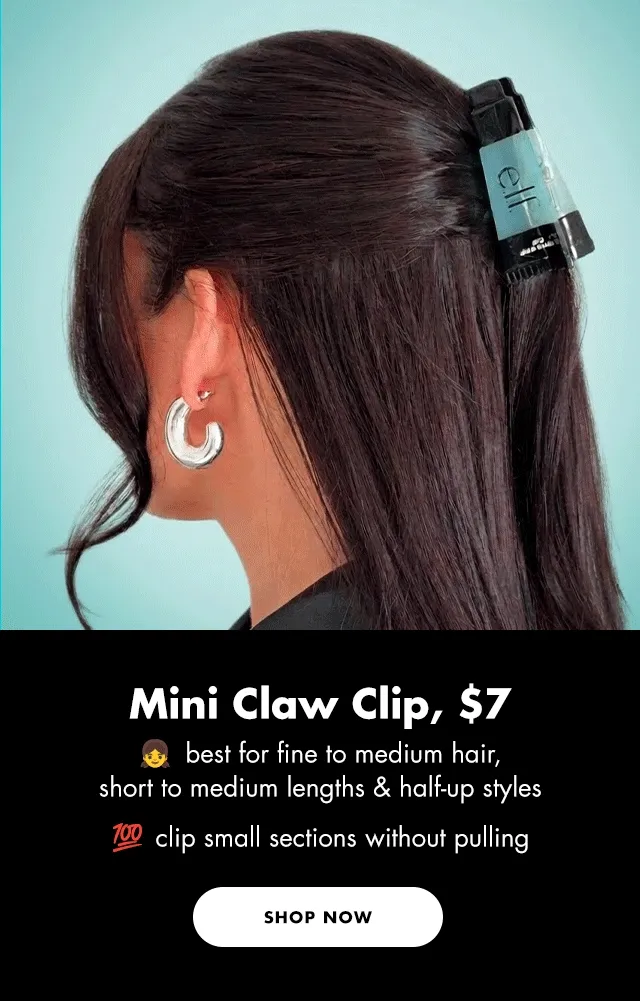 mini claw clip