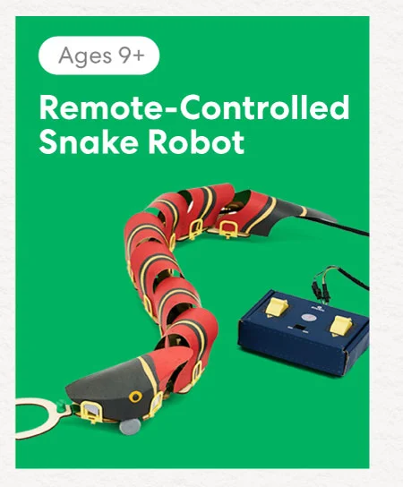 Remote-Controlled Snake Robot