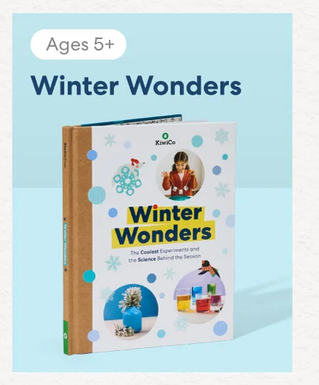 Winter Wonders