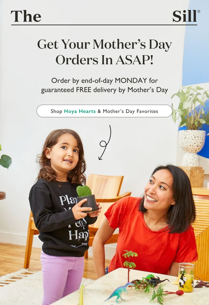 Get your Mother's Day orders in ASAP! Order by end-of-day Monday, May 6, for guaranteed FREE delivery by Mother's Day. Shop Hoya Hearts and more Mother's Day favorites.