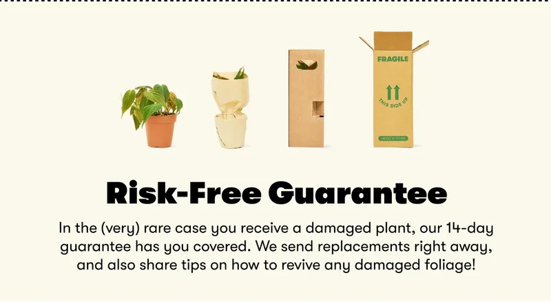 Risk Free Guarantee
