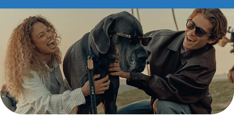 National Pet Day Sale