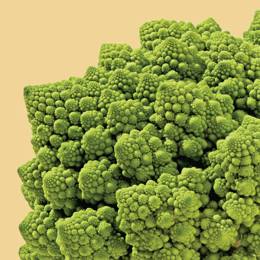 Small and Discolored Romanesco Cauliflower