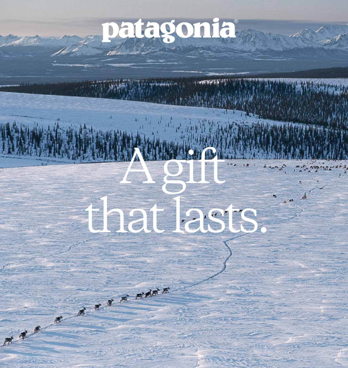 Patagonia. A gift that lasts.