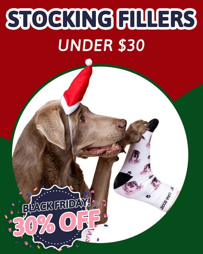 Stocking Fillers under $30