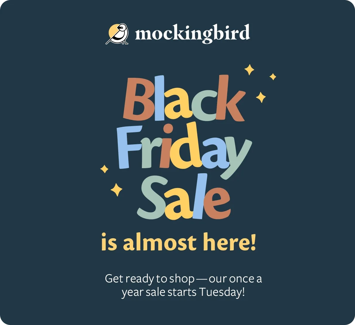 Black Friday Sale is Almost Here