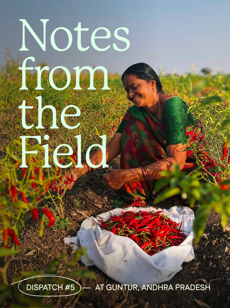 Notes from the field at Guntur, Andhra Pradesh