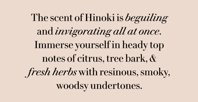 The scent of Hinoki is beguiling and invigorating all at once. Immerse yourself in heady top notes of citrus, tree bark, and fresh herbs with resinous, smoky, woodsy undertones.