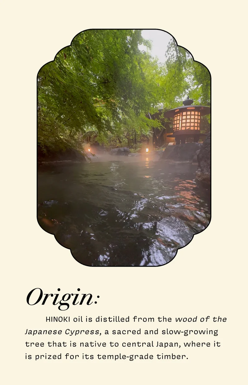 Origin: HINOKI oil is distilled from the wood of the Japanese Cypress, a sacred and slow-growing tree that is native to central Japan, where it is prized for its temple-grade timber.
