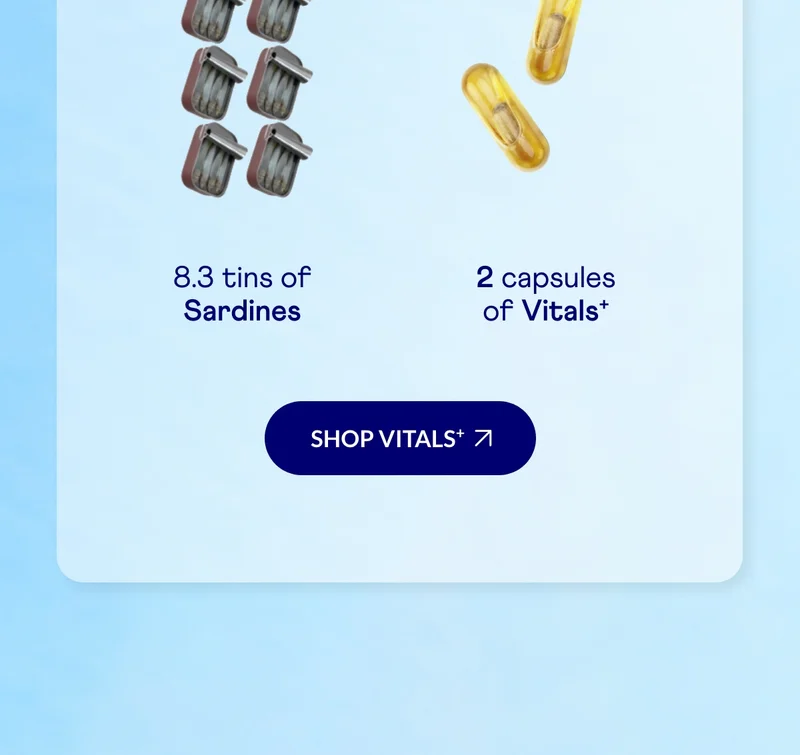 Shop Vitals