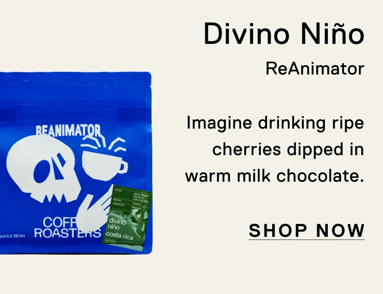 Divino Niño. ReAnimator. Imagine drinking ripe cherries dipped in warm milk chocolate. Shop Now