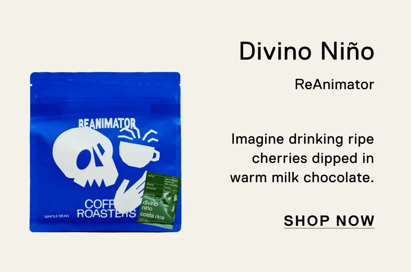 Divino Niño. ReAnimator. Imagine drinking ripe cherries dipped in warm milk chocolate. Shop Now