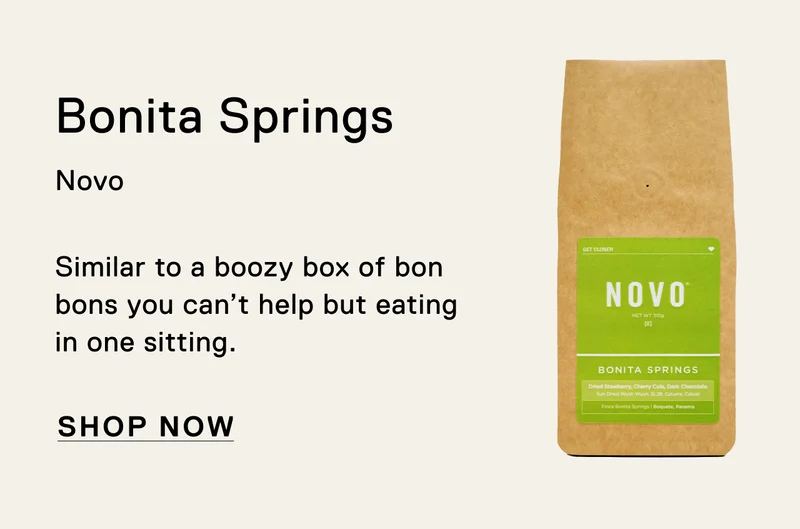 Bonita Spring. Novo. Similar to a boozy box of bon bons you can’t help but eating in one sitting. Shop Now