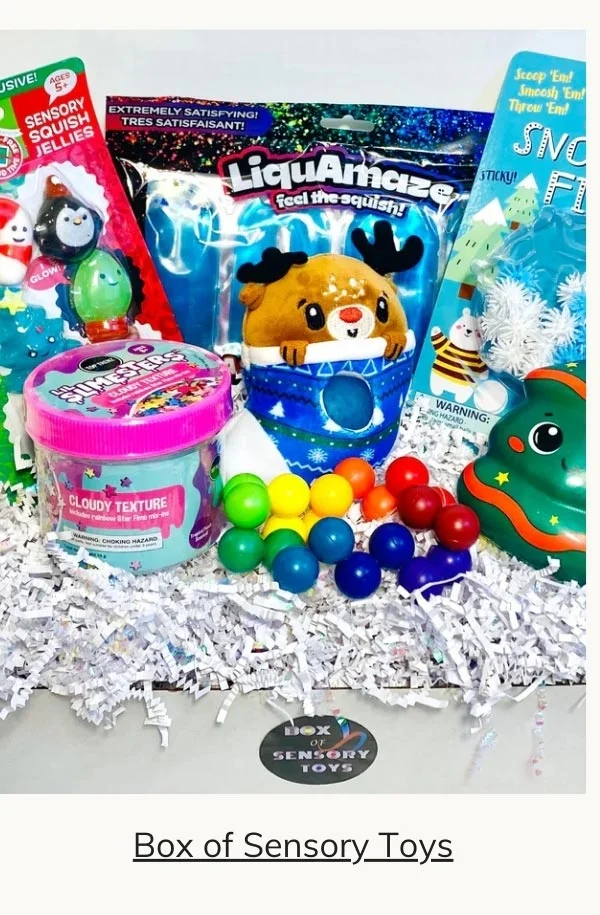 Box of Sensory Toys
