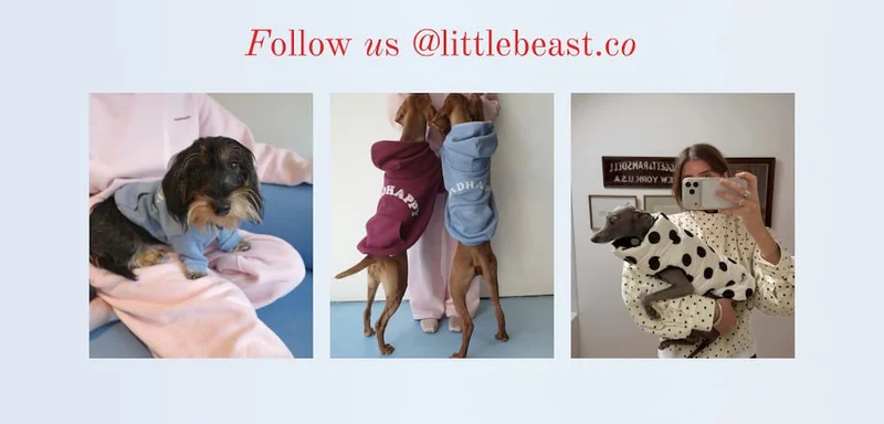 Follow us on Instagram
