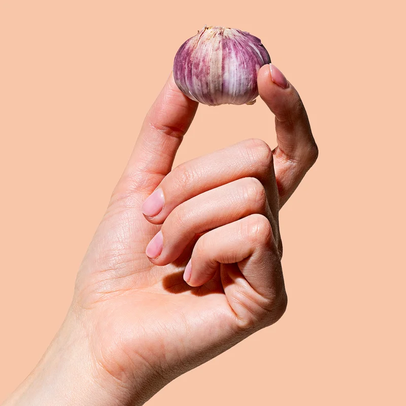 Small Purple Garlic