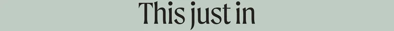 This just in
