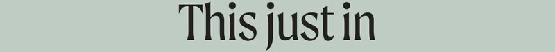 This just in