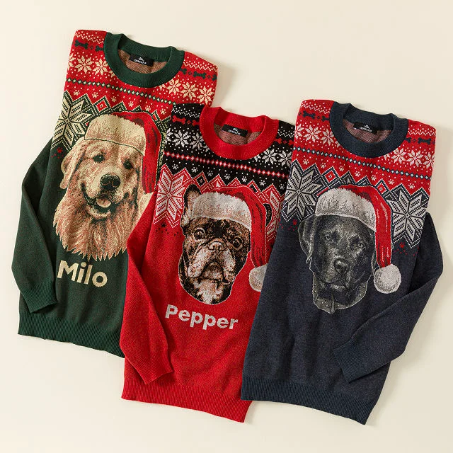 Custom Pet Santa Paws Sweater