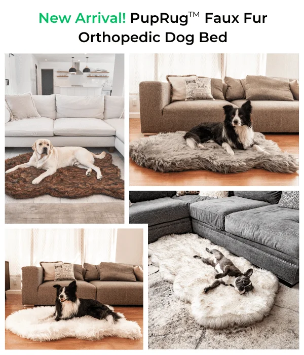 PupRug