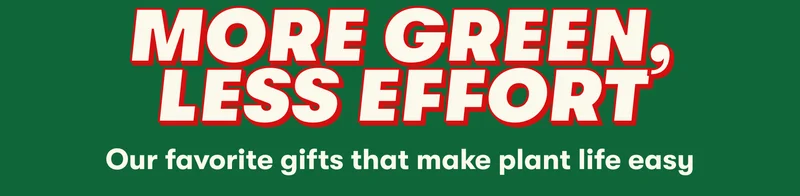 MORE GREEN, LESS EFFORT | Our favorite gifts that make plant life easy