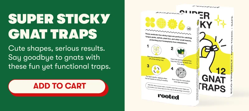 Super Sticky Gnat Traps | Cute shapes, serious results. Say goodbye to gnats with these fun yet functional traps. [ADD TO CART]