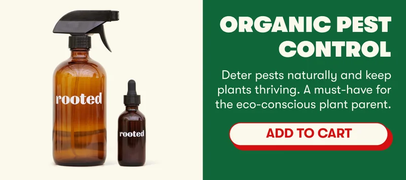Organic Pest Control | Deter pests naturally and keep plants thriving. A must-have for the eco-conscious plant parent. [ADD TO CART]