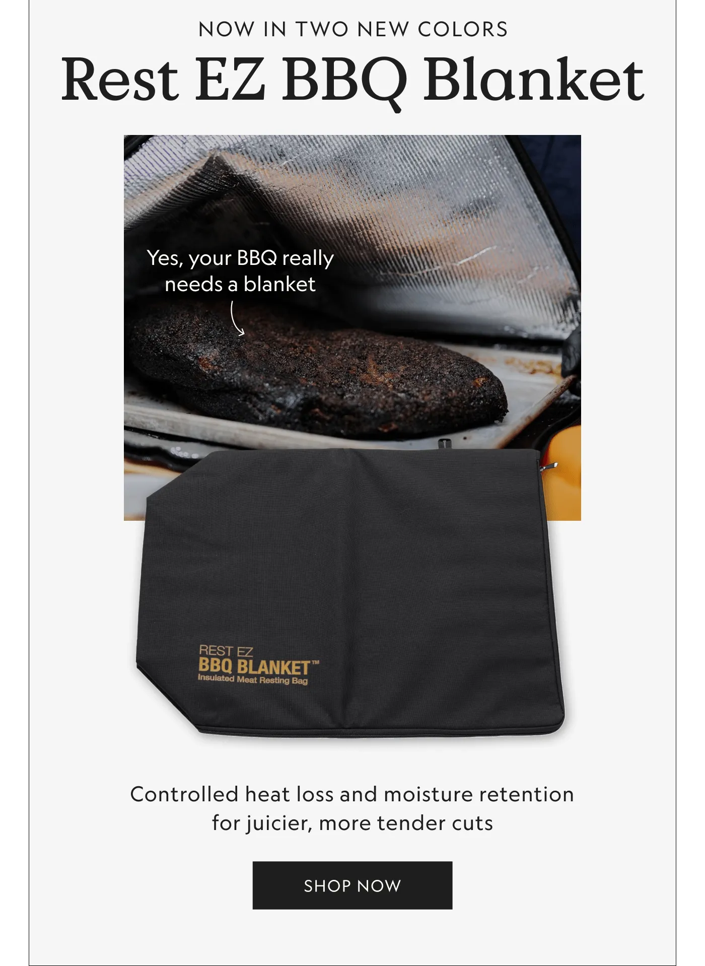 Rest EZ BBQ Blanket