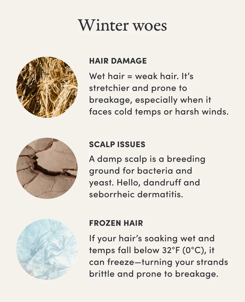 Winter woes | Hair Damage | Wet hair = weak hair. It’s stretchier and prone to breakage, especially when it faces cold temps or harsh winds. | Scalp Issues | A damp scalp is a breeding ground for bacteria and yeast. Hello, dandruff and seborrheic dermatitis. | Frozen Hair | If your hair’s soaking wet and temps fall below 32°F (0°C), it can freeze—turning your strands brittle and prone to breakage.