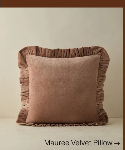 Shop Mauree Velvet Pillow