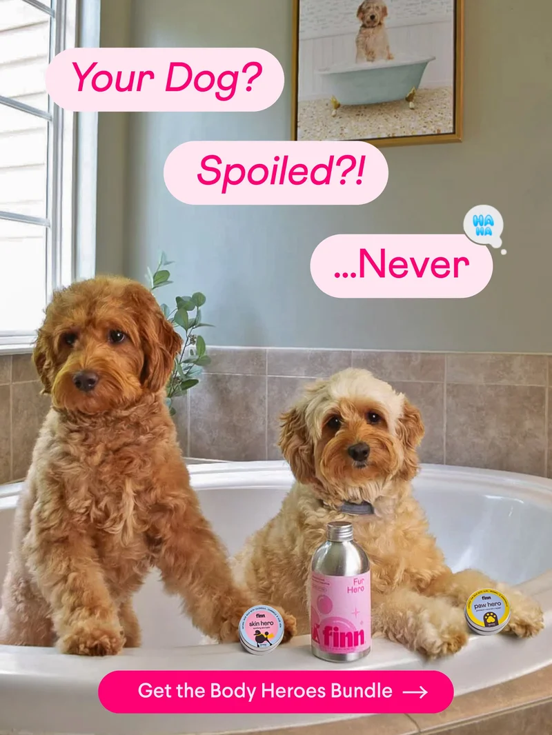 Text: "Your Dog? Spoiled?! ...Never" with CTA: "Get the Body Heroes Bundle –>" overlaid on photo of two goldendoodles in the bathtub with Fur Hero shampoo, Paw Hero balm and Skin Hero salve