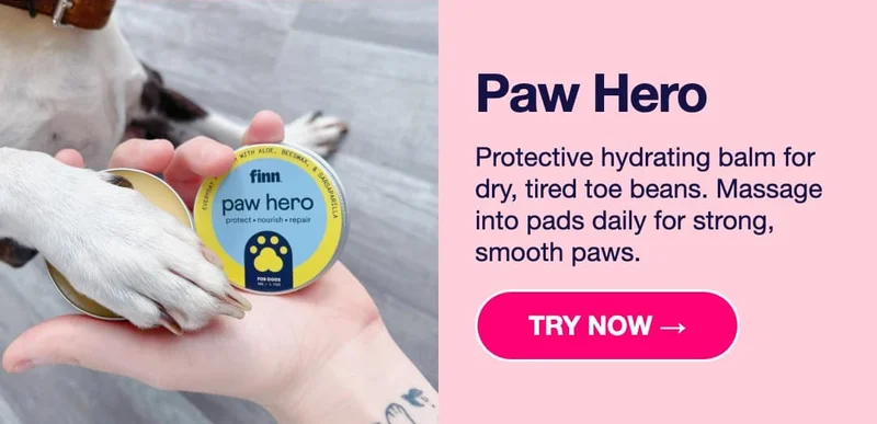 Paw Hero: Protective hydrating balm for dry, tired toe beans. Massage into pads daily for strong, smooth paws.&nbsp;Try Now –>