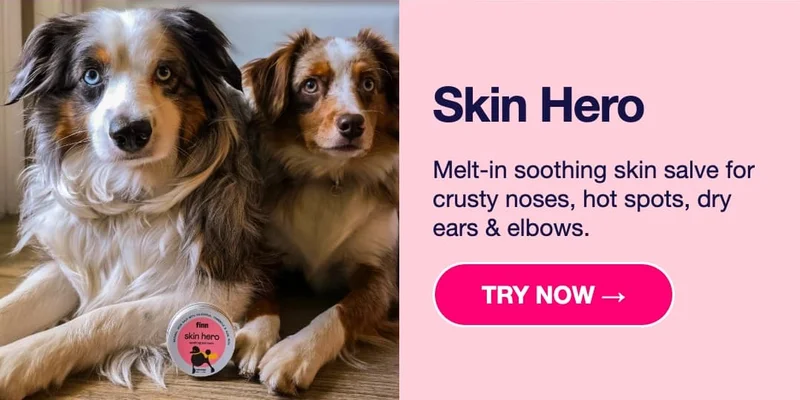 Skin Hero: Melt-in soothing skin salve for crusty noses, hot spots, dry ears & elbows. Try Now –>