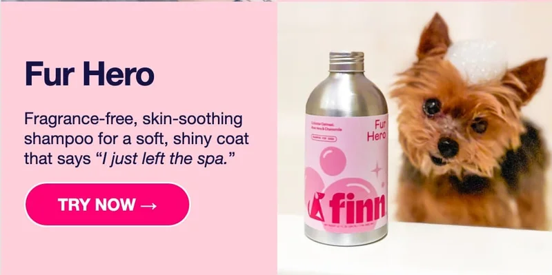 Fur Hero: Fragrance-free, skin-soothing shampoo for a soft, shiny coat that says “I just left the spa.” Try Now –>
